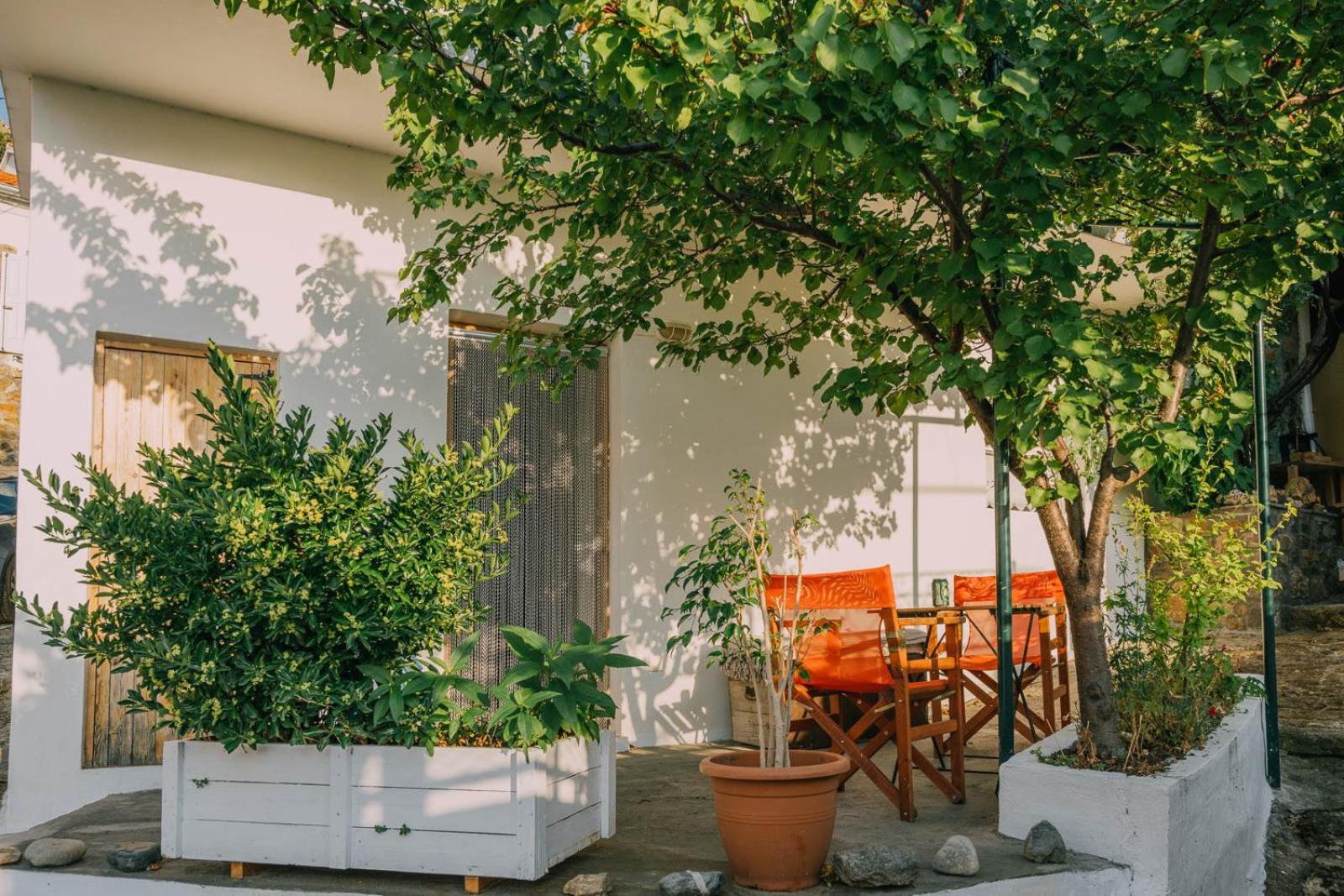 The Apricot Tree Studio Samothráki Exteriér fotografie